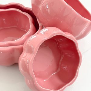Coral Glaze Bowl set 2pcs